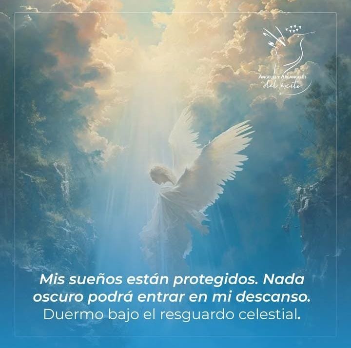 WhatsApp Image 2025-09-09 at 12.02.46 PM