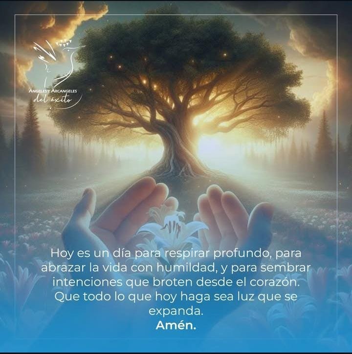 WhatsApp Image 2025-09-10 at 2.53.42 PM